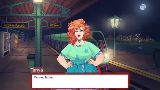 One Night in Kawami — screenshot 1