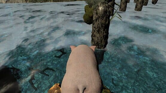 Divine Pig — screenshot 4