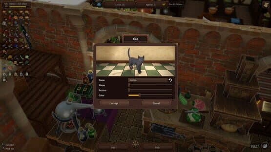 Winkeltje: Cat Companion — screenshot 1