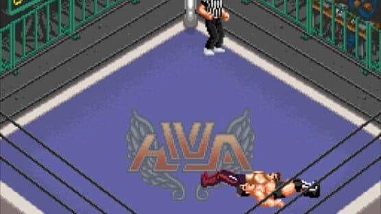 Super Fire Pro Wrestling Special — screenshot 3