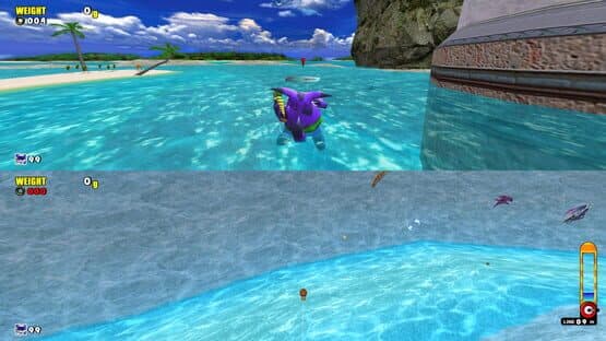 Sonic Adventure DX: Multiplayer Mod — screenshot 4