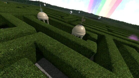 Chasing Chickens — screenshot 1
