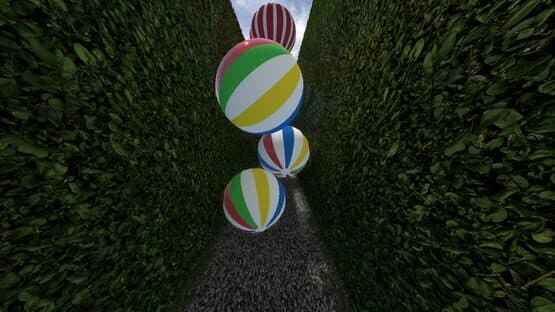 Chasing Chickens — screenshot 3