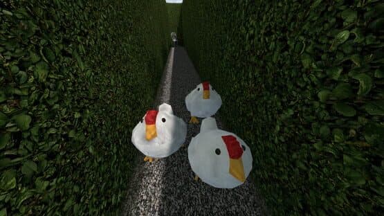 Chasing Chickens — screenshot 4