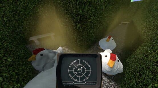 Chasing Chickens — screenshot 7