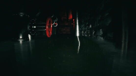 Forsisted: The Sacred Souls — screenshot 2