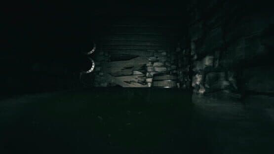 Forsisted: The Sacred Souls — screenshot 3