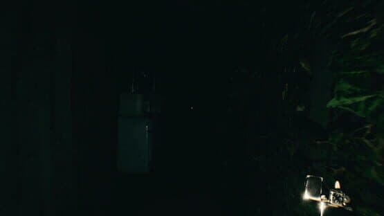 Forsisted: The Sacred Souls — screenshot 6
