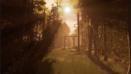 Contorted — screenshot 2