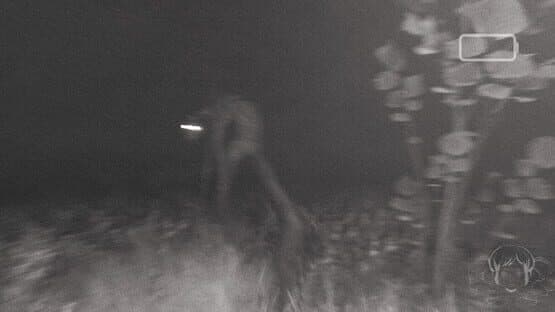 Contorted — screenshot 3