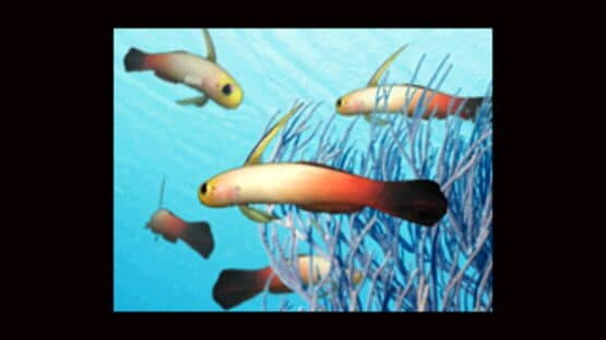 Aqua-World: Umi Monogatari — screenshot 4