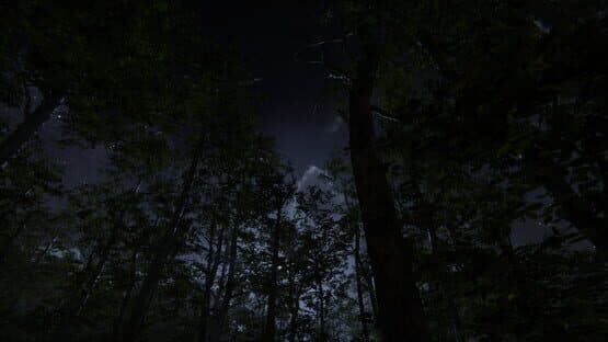 Camping Vlog Simulator 2024 — screenshot 5