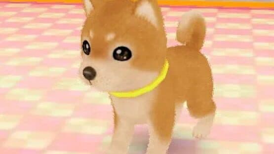 Wan Nyan Pet Shop — screenshot 5