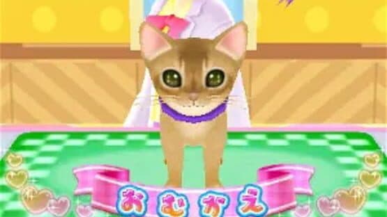 Wan Nyan Pet Shop — screenshot 7