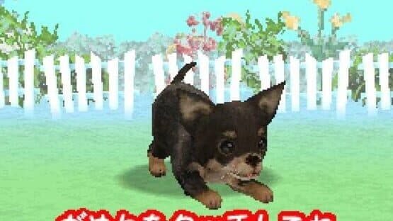 Wan Nyan Doubutsu Byouin — screenshot 3