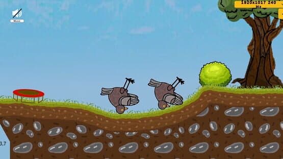 Happy Bird Day — screenshot 5