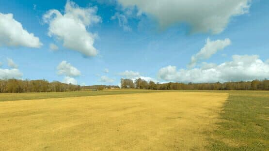 RealFlight Evolution: Triple Tree 3D Flight Line — screenshot 2