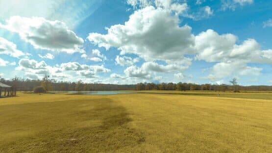 RealFlight Evolution: Triple Tree 3D Flight Line — screenshot 3