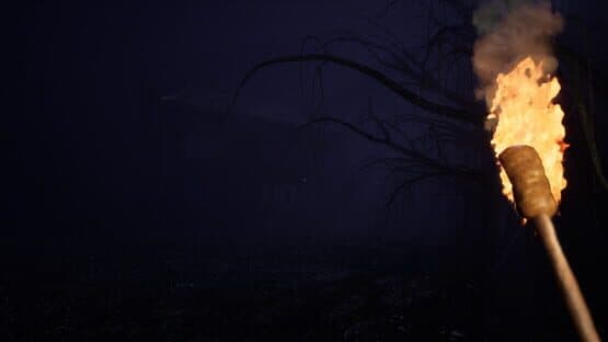 Wonderland — screenshot 1