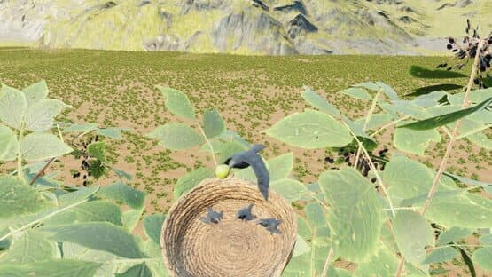 Raven Simulator — screenshot 2