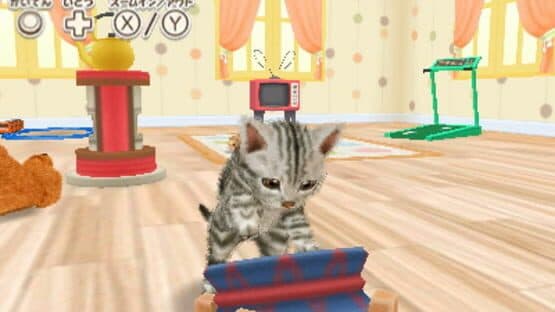Kawaii Pet to Kurasou! Wan Nyan & Idol Animal — screenshot 4