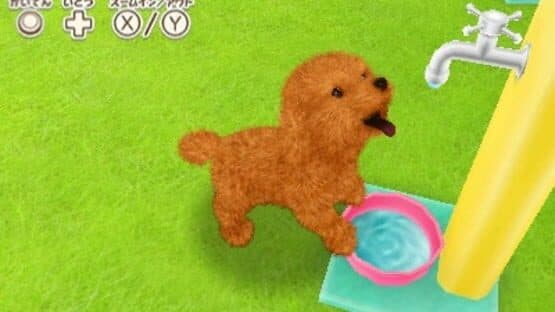 Kawaii Pet to Kurasou! Wan Nyan & Mini Mini Animal — screenshot 1