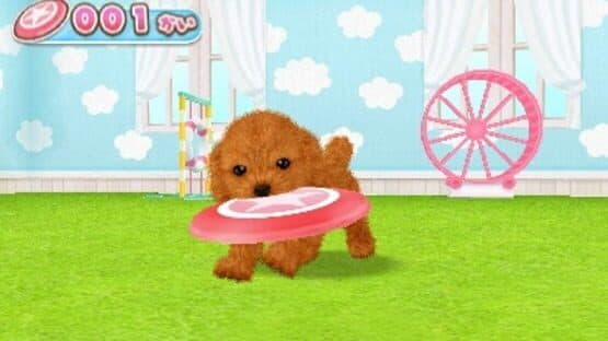 Kawaii Pet to Kurasou! Wan Nyan & Mini Mini Animal — screenshot 2