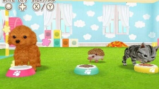 Kawaii Pet to Kurasou! Wan Nyan & Mini Mini Animal — screenshot 3