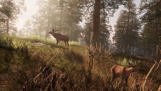 A Twisted Path To Renown — screenshot 8