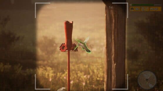 Morels: The Hunt 2 — screenshot 2