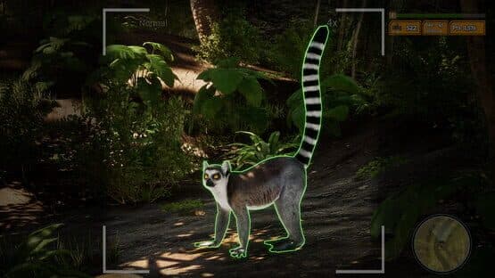 Morels: The Hunt 2 — screenshot 3
