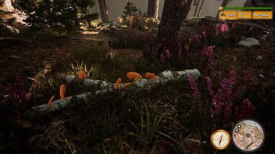 Morels: The Hunt 2 — screenshot 4