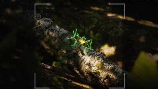 Morels: The Hunt 2 — screenshot 5