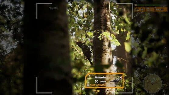 Morels: The Hunt 2 — screenshot 6