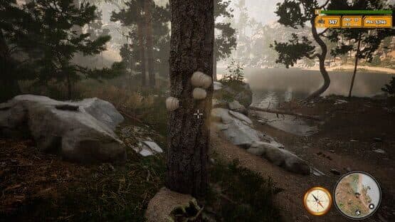 Morels: The Hunt 2 — screenshot 7