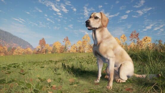 TheHunter: Call of the Wild - Labrador Retriever — screenshot 1