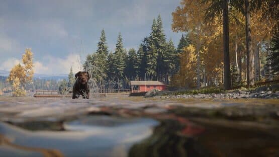 TheHunter: Call of the Wild - Labrador Retriever — screenshot 3
