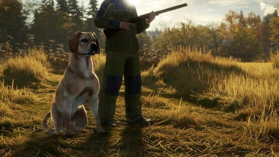 TheHunter: Call of the Wild - Labrador Retriever — screenshot 4