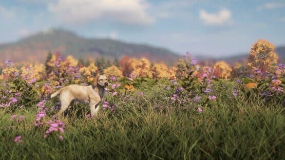 TheHunter: Call of the Wild - Labrador Retriever — screenshot 6