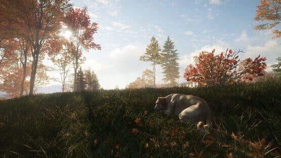 TheHunter: Call of the Wild - Labrador Retriever — screenshot 7