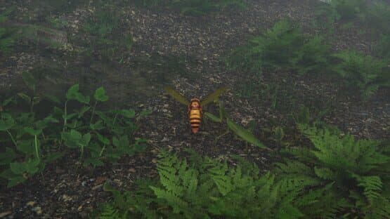 Giant Hornet — screenshot 4
