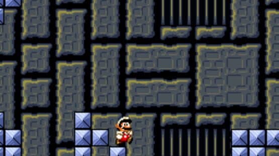 Super Mario: Hunter's Revenge 3 — screenshot 5