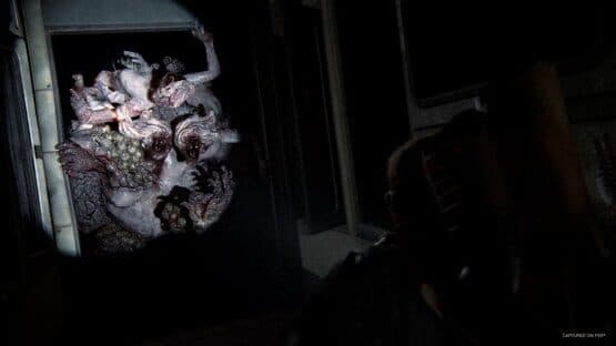 The Last of Us Part II Remastered — screenshot 3