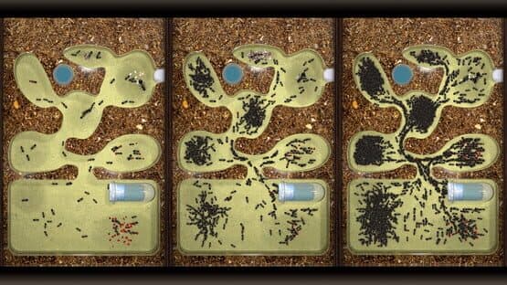 Ant Farm Simulator — screenshot 1
