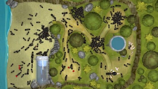 Ant Farm Simulator — screenshot 2