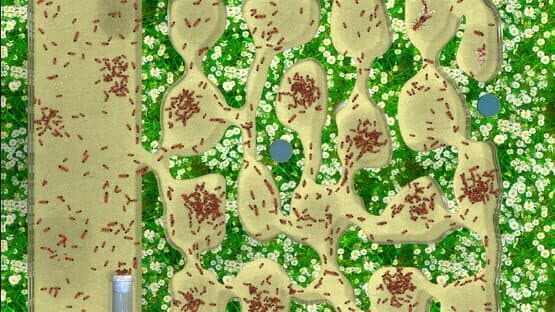 Ant Farm Simulator — screenshot 3