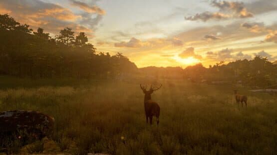Memoria: Stories of La Garma — screenshot 1