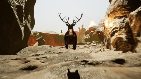 Deer God — screenshot 3