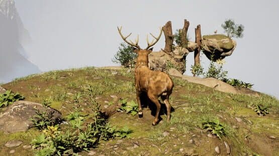 Deer God — screenshot 4