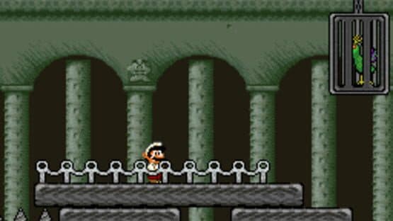 The Artifacts of Marvelous Birds — screenshot 5